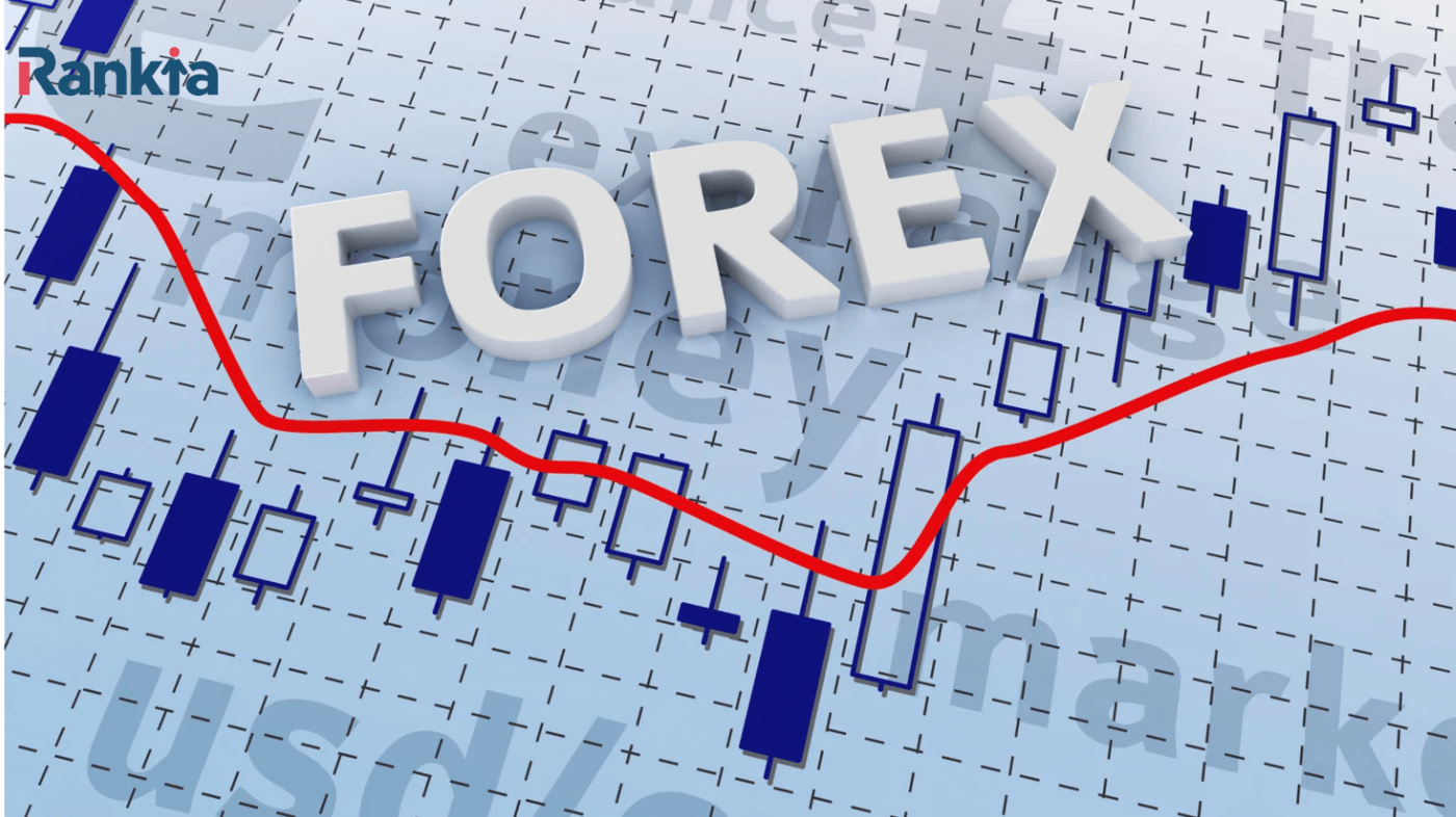 best forex broker for beginners